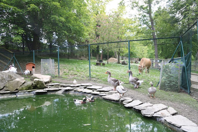 La Ferme pédagogique